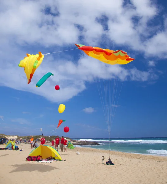 Drachenfest auf Fuerteventura — Stockfoto