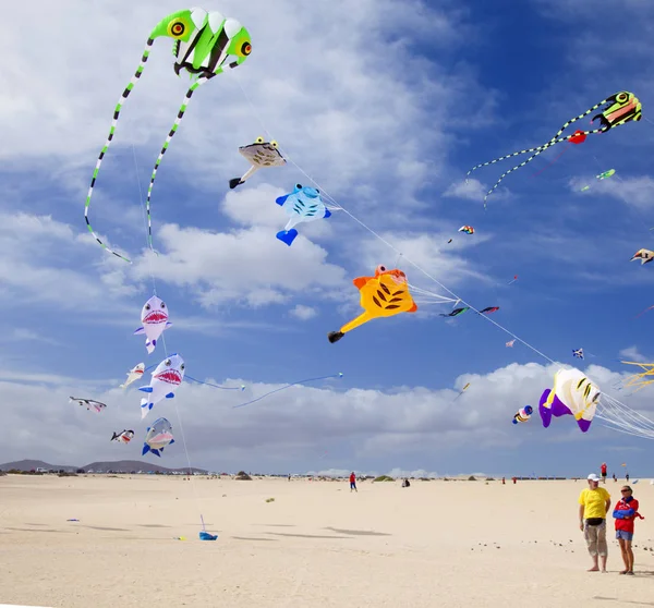 Fuerteventura Uçurtma Festivali — Stok fotoğraf