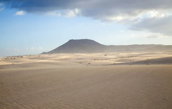 Låg kvällsljus i sanddyner till Corralejo — Stockfoto