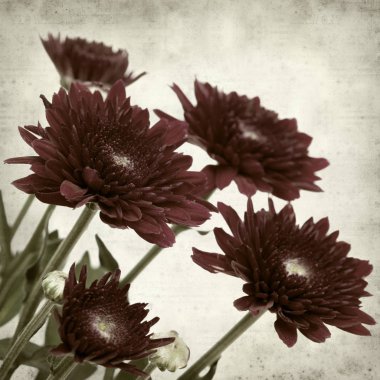 desenli eski kağıt arkaplan  