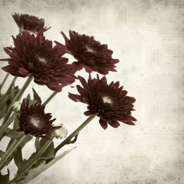 desenli eski kağıt arkaplan  