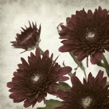 desenli eski kağıt arkaplan  