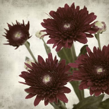 desenli eski kağıt arkaplan  