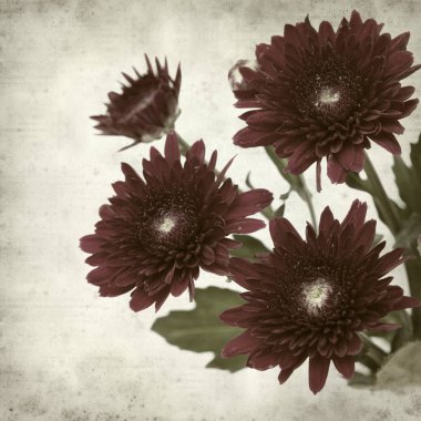 desenli eski kağıt arkaplan  