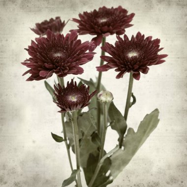 desenli eski kağıt arkaplan  