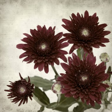 desenli eski kağıt arkaplan  