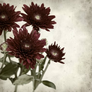 desenli eski kağıt arkaplan  