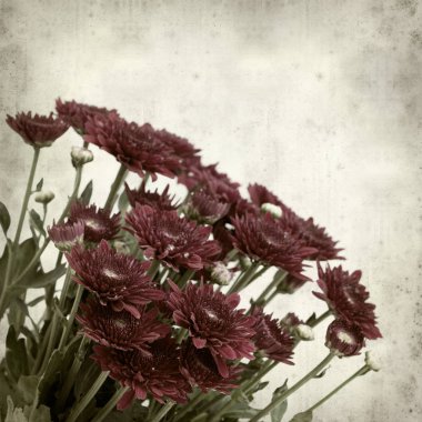 desenli eski kağıt arkaplan  