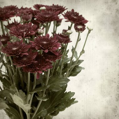 desenli eski kağıt arkaplan  