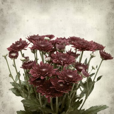 desenli eski kağıt arkaplan  