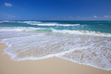 Fuerteventura, Kanarya Adaları