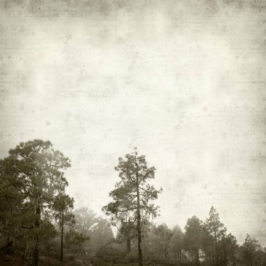 desenli eski kağıt arkaplan  