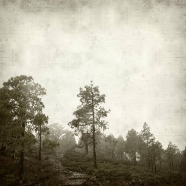 desenli eski kağıt arkaplan  