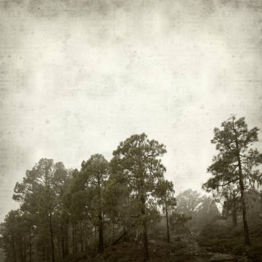 desenli eski kağıt arkaplan  