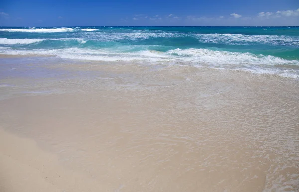 Fuerteventura, Kanarieöarna — Stockfoto