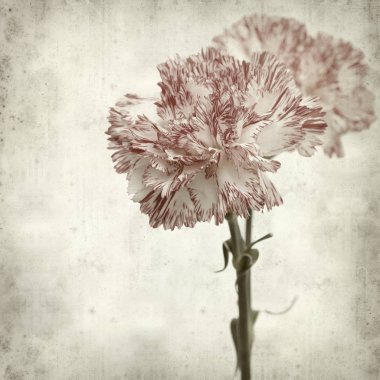 desenli eski kağıt arkaplan  