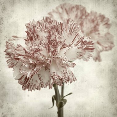 desenli eski kağıt arkaplan  