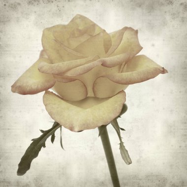 desenli eski kağıt arkaplan  