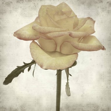 desenli eski kağıt arkaplan  