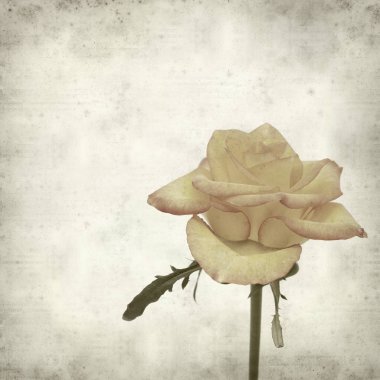 desenli eski kağıt arkaplan  