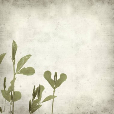 desenli eski kağıt arkaplan  