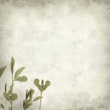 desenli eski kağıt arkaplan  