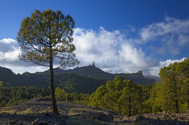 Central Gran Canaria, Roque Nublo 