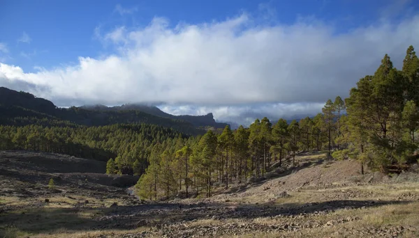 Central Gran Canaria, Roque Nublo — ストック写真