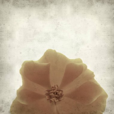 desenli eski kağıt arkaplan  