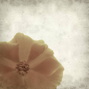 desenli eski kağıt arkaplan  