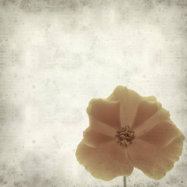 desenli eski kağıt arkaplan  