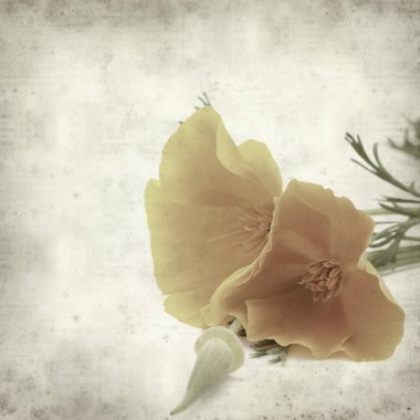 desenli eski kağıt arkaplan  