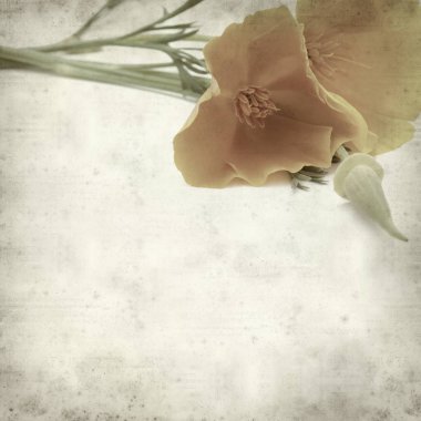 desenli eski kağıt arkaplan  