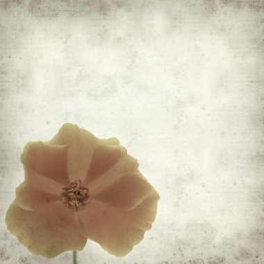 desenli eski kağıt arkaplan  