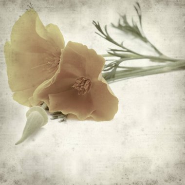 desenli eski kağıt arkaplan  