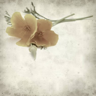 desenli eski kağıt arkaplan  