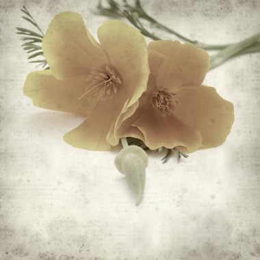 desenli eski kağıt arkaplan  