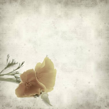 desenli eski kağıt arkaplan  