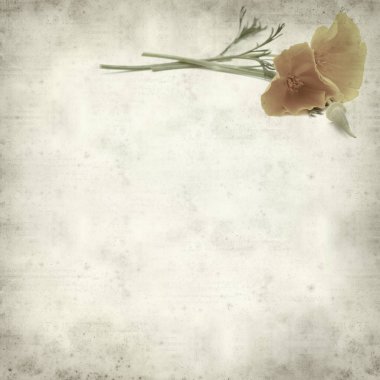 desenli eski kağıt arkaplan  