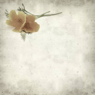 desenli eski kağıt arkaplan  