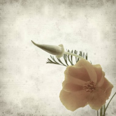 desenli eski kağıt arkaplan  