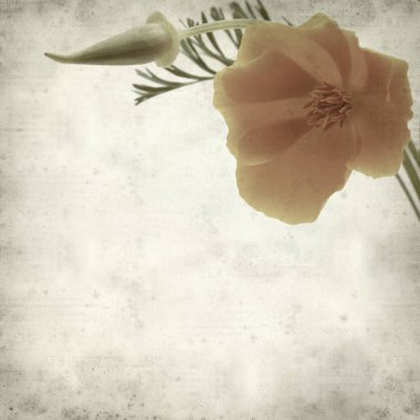 desenli eski kağıt arkaplan  