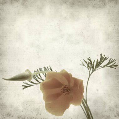 desenli eski kağıt arkaplan  