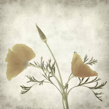 desenli eski kağıt arkaplan  