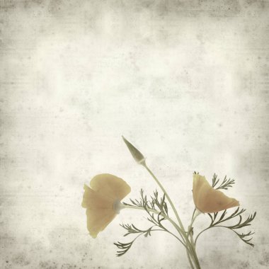 desenli eski kağıt arkaplan  