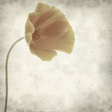 desenli eski kağıt arkaplan  