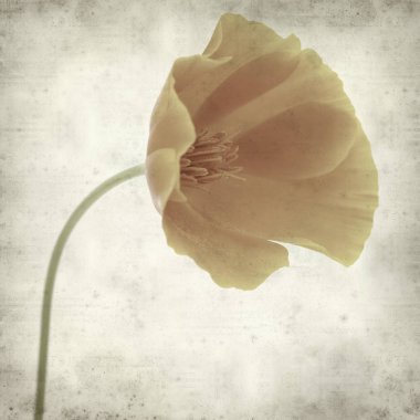 desenli eski kağıt arkaplan  