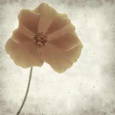 desenli eski kağıt arkaplan  