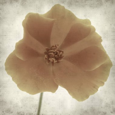 desenli eski kağıt arkaplan  