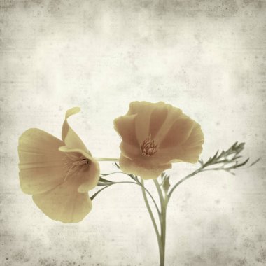 desenli eski kağıt arkaplan  